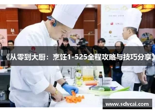《从零到大厨：烹饪1-525全程攻略与技巧分享》